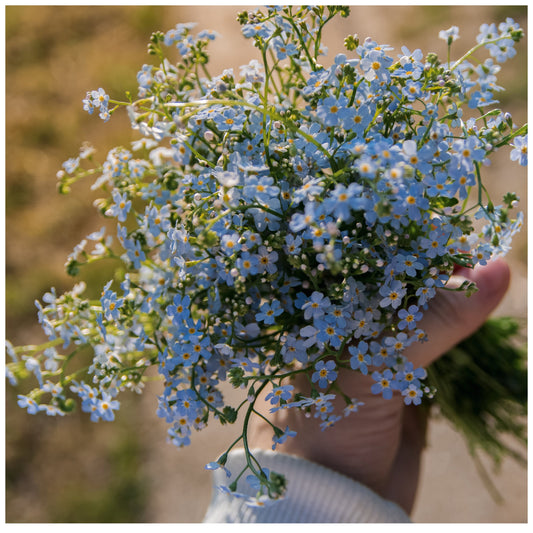 DEMENTIA / ALZHEIMER’S DRESSING GUIDE