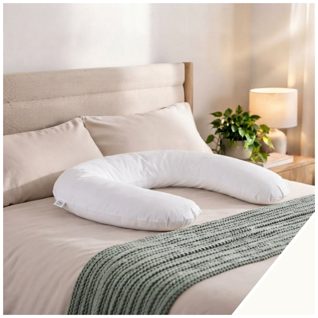 Standard  XXL Cushions and Cushion Covers